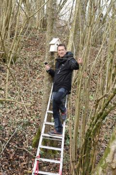 Gnezdilnice Radulja 9